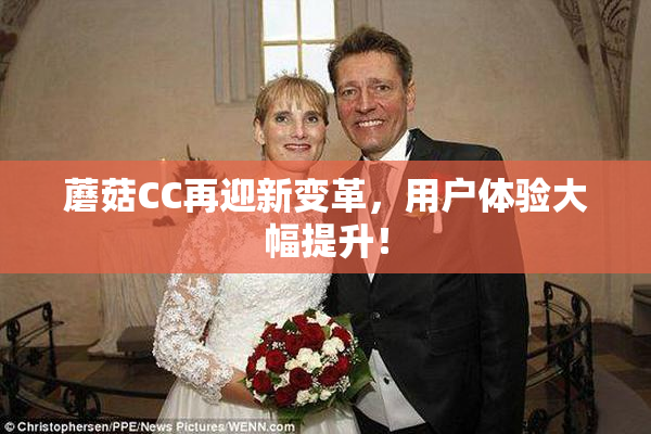 蘑菇CC再迎新变革，用户体验大幅提升！