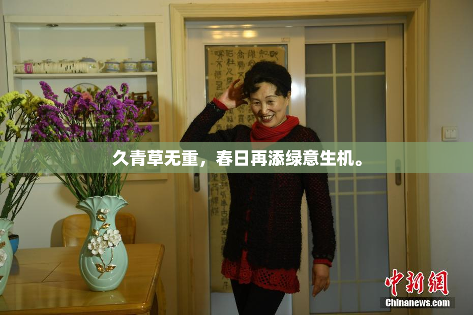 久青草无重，春日再添绿意生机。