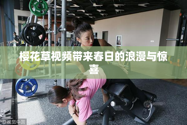 樱花草视频带来春日的浪漫与惊喜