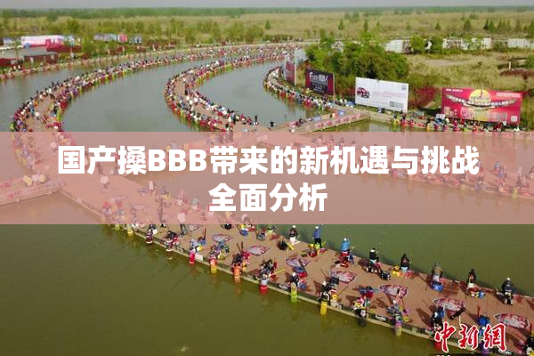 国产搡BBB带来的新机遇与挑战全面分析