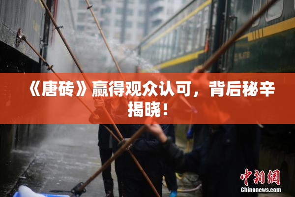《唐砖》赢得观众认可，背后秘辛揭晓！