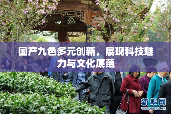 国产九色多元创新，展现科技魅力与文化底蕴