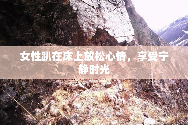 女性趴在床上放松心情，享受宁静时光