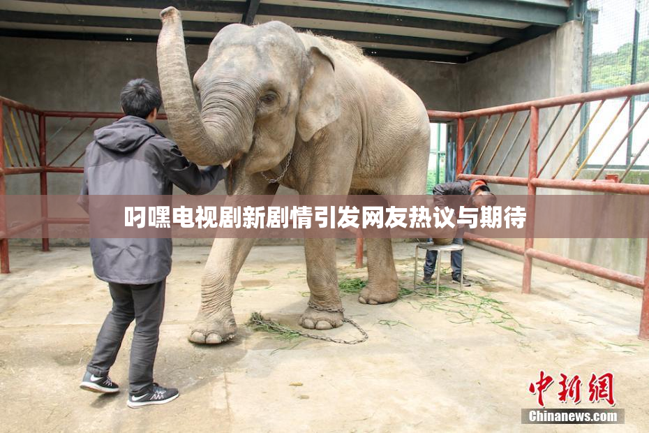 叼嘿电视剧新剧情引发网友热议与期待
