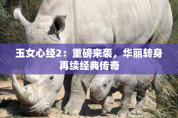 玉女心经2：重磅来袭，华丽转身再续经典传奇