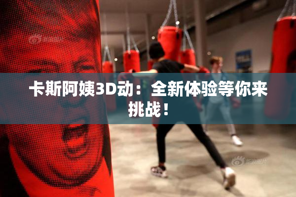 卡斯阿姨3D动：全新体验等你来挑战！