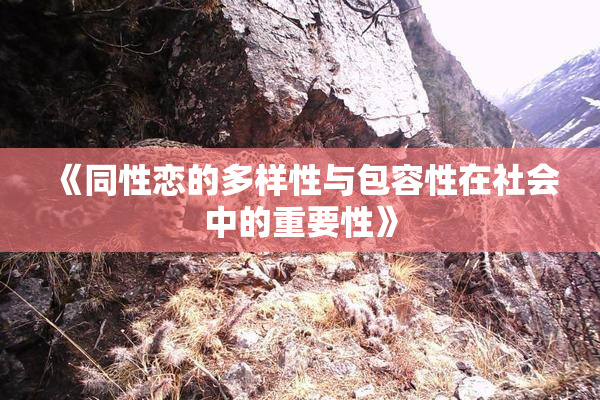 《同性恋的多样性与包容性在社会中的重要性》