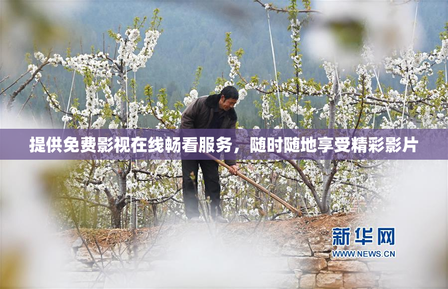 提供免费影视在线畅看服务，随时随地享受精彩影片