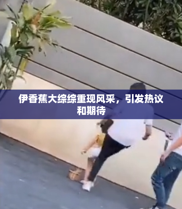 伊香蕉大综综重现风采，引发热议和期待