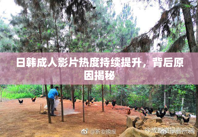 日韩成人影片热度持续提升，背后原因揭秘
