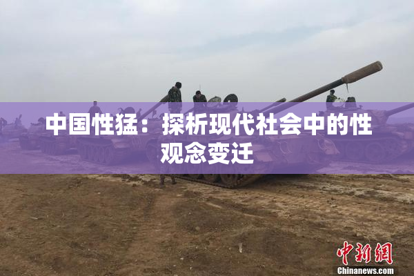 中国性猛：探析现代社会中的性观念变迁