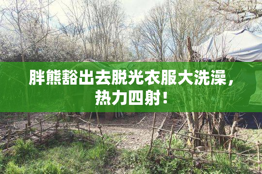 胖熊豁出去脱光衣服大洗澡，热力四射！