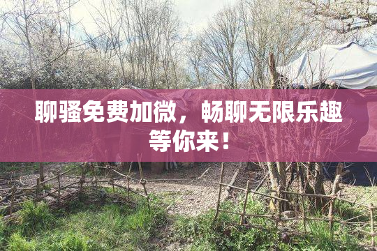 聊骚免费加微，畅聊无限乐趣等你来！
