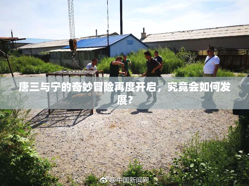 唐三与宁的奇妙冒险再度开启，究竟会如何发展？