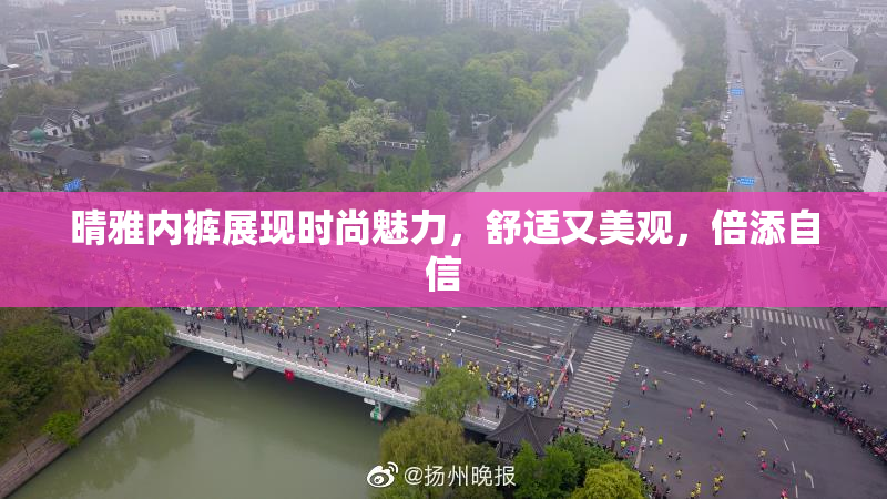 晴雅内裤展现时尚魅力，舒适又美观，倍添自信