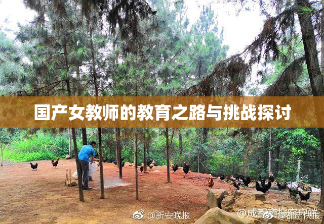 国产女教师的教育之路与挑战探讨
