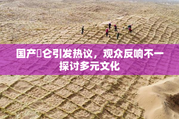 国产婬仑引发热议，观众反响不一探讨多元文化