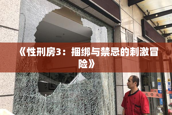 《性刑房3：捆绑与禁忌的刺激冒险》
