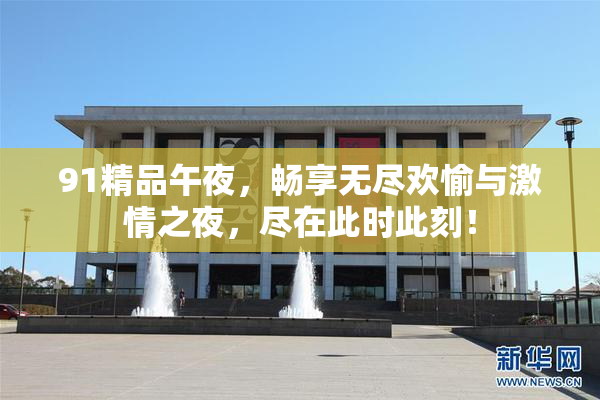 91精品午夜，畅享无尽欢愉与激情之夜，尽在此时此刻！
