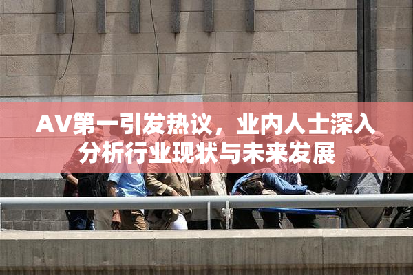 AV第一引发热议，业内人士深入分析行业现状与未来发展