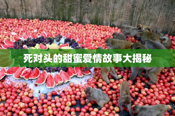 死对头的甜蜜爱情故事大揭秘