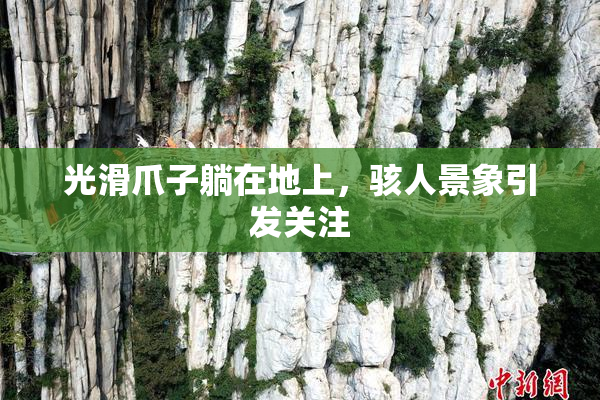 光滑爪子躺在地上，骇人景象引发关注