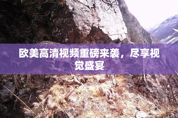 欧美高清视频重磅来袭，尽享视觉盛宴