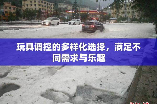 玩具调控的多样化选择，满足不同需求与乐趣