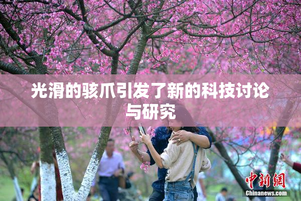 光滑的骇爪引发了新的科技讨论与研究