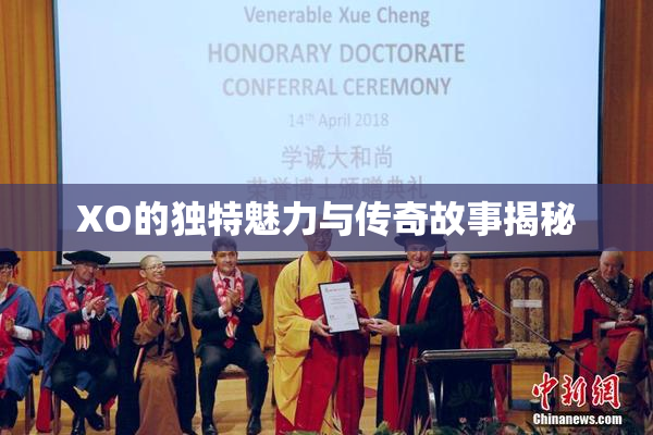 XO的独特魅力与传奇故事揭秘