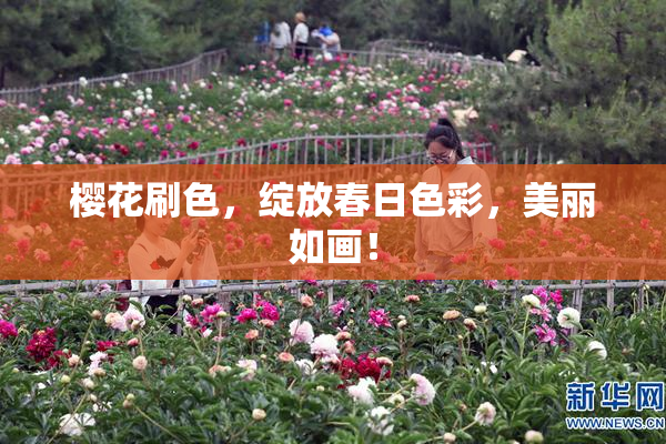 樱花刷色，绽放春日色彩，美丽如画！