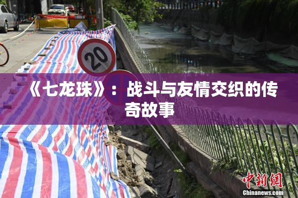 《七龙珠》：战斗与友情交织的传奇故事