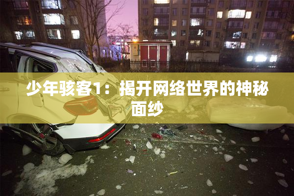 少年骇客1：揭开网络世界的神秘面纱