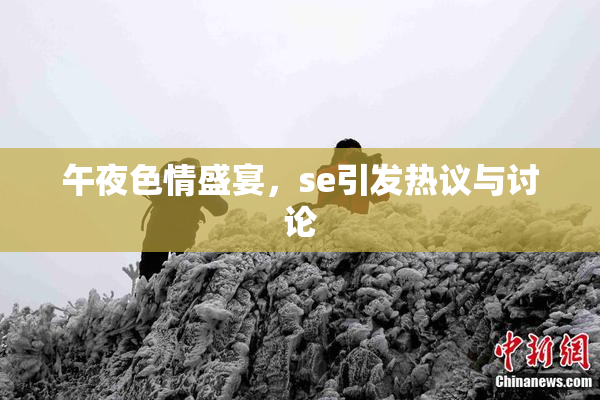 午夜色情盛宴，se引发热议与讨论