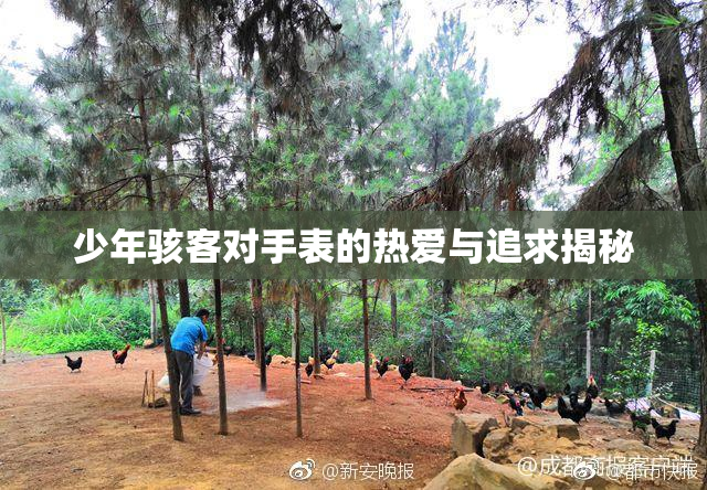 少年骇客对手表的热爱与追求揭秘