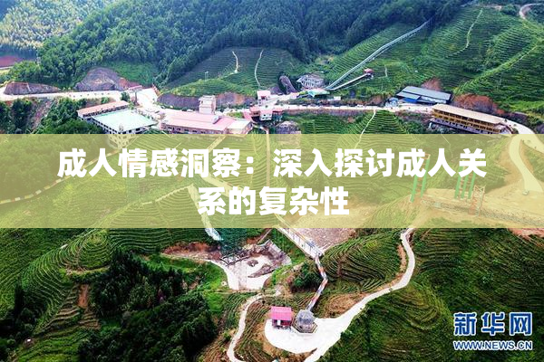 成人情感洞察：深入探讨成人关系的复杂性
