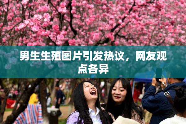 男生生殖图片引发热议，网友观点各异