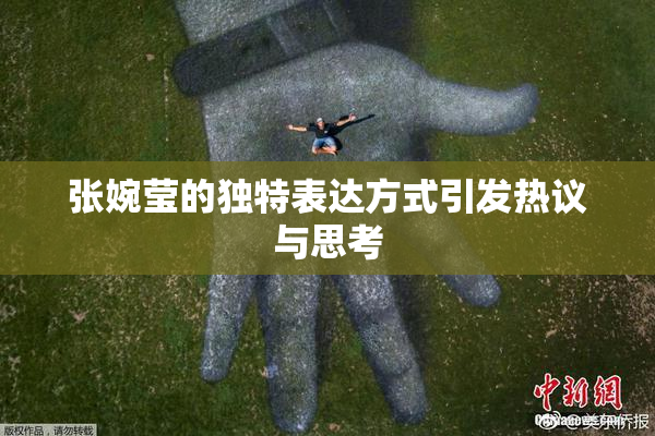 张婉莹的独特表达方式引发热议与思考