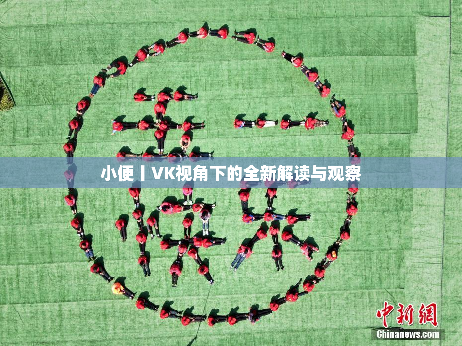 小便丨VK视角下的全新解读与观察