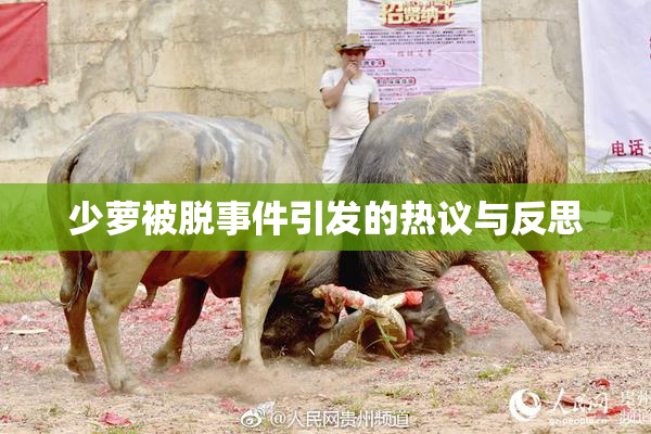 少萝被脱事件引发的热议与反思