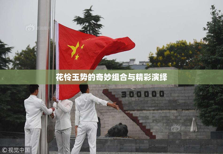 花怜玉势的奇妙组合与精彩演绎