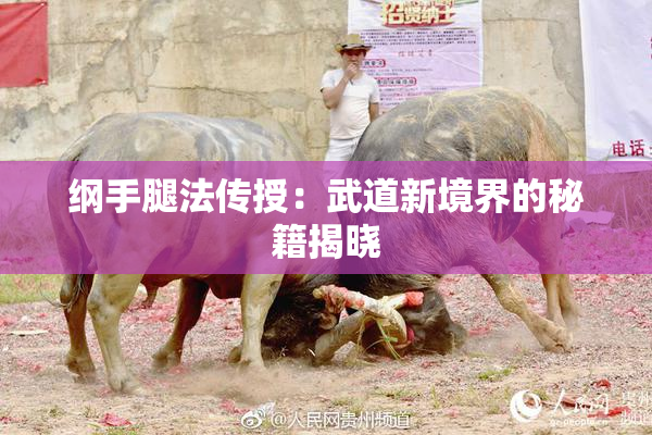 纲手腿法传授：武道新境界的秘籍揭晓