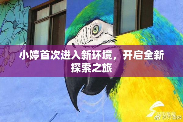 小婷首次进入新环境，开启全新探索之旅