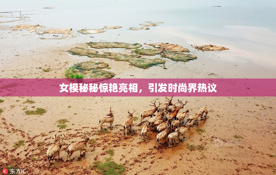 女模秘秘惊艳亮相，引发时尚界热议