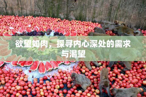 欲望如肉，探寻内心深处的需求与渴望