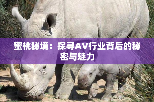 蜜桃秘境：探寻AV行业背后的秘密与魅力