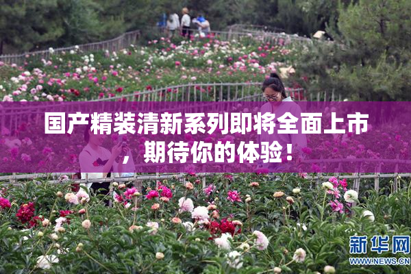 国产精装清新系列即将全面上市，期待你的体验！