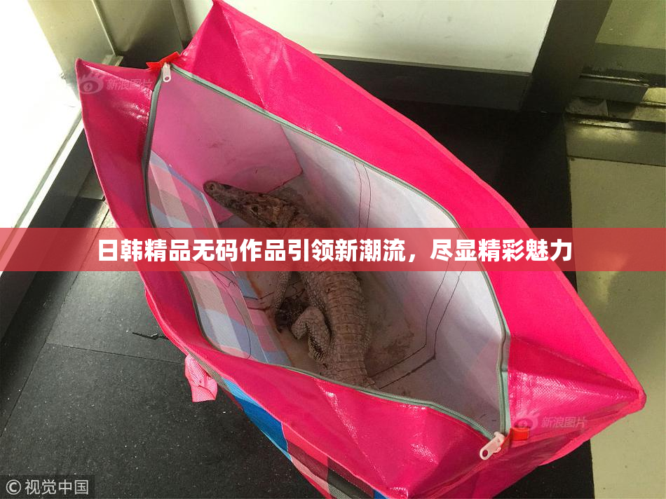 日韩精品无码作品引领新潮流，尽显精彩魅力
