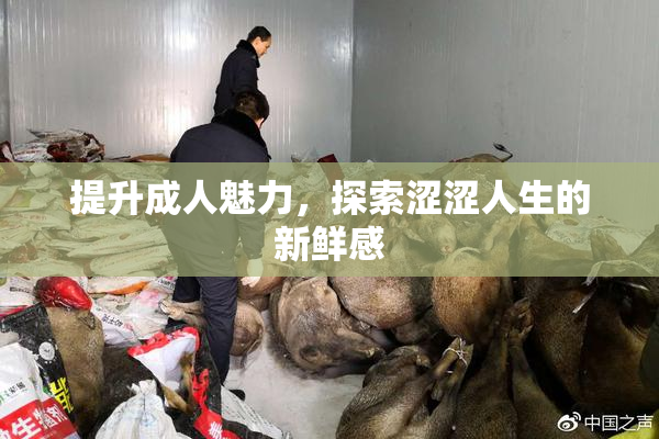提升成人魅力，探索涩涩人生的新鲜感