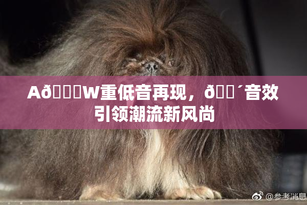 A🔞W重低音再现，🔴音效引领潮流新风尚